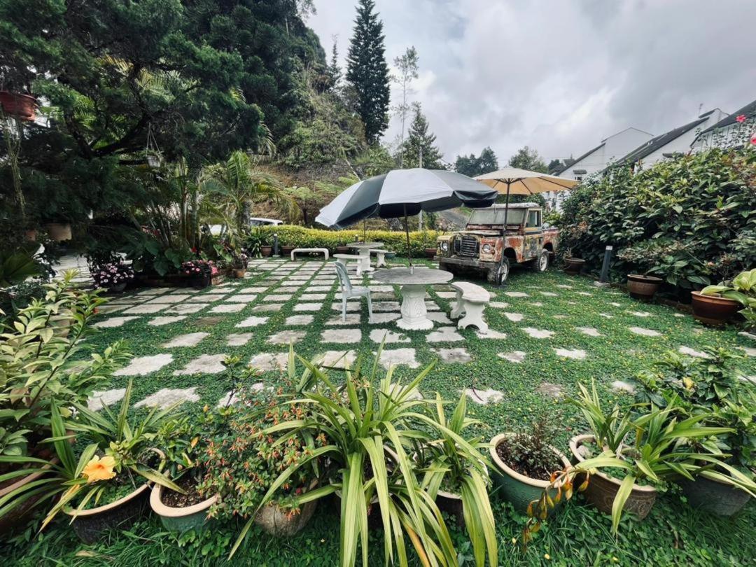 Big Dreams Garden Stay Tanah Rata Exterior photo